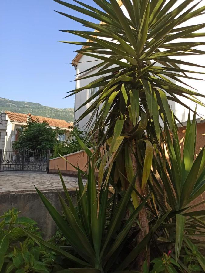 Apartments Parapid Budva Eksteriør billede