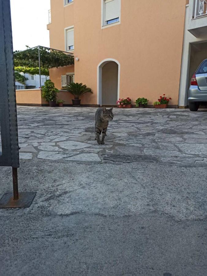 Apartments Parapid Budva Eksteriør billede